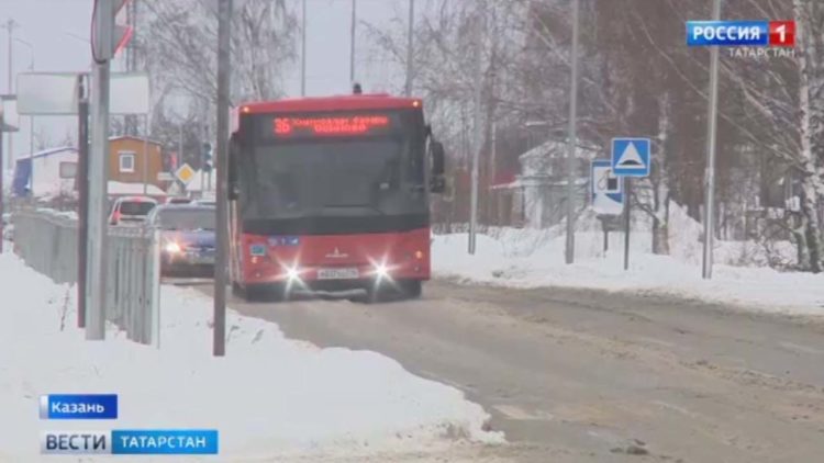 Прокуратура Татарстана выявила десятки нарушений у приюта для бездомных собак