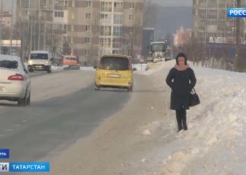 Прокуратура Татарстана выявила десятки нарушений у приюта для бездомных собак