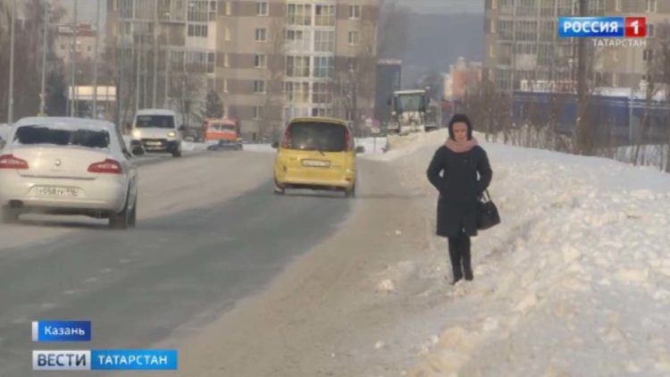 Прокуратура Татарстана выявила десятки нарушений у приюта для бездомных собак