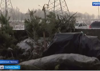 В Челнах вывозят на утилизацию елки и бутылки из-под алкогольных напитков