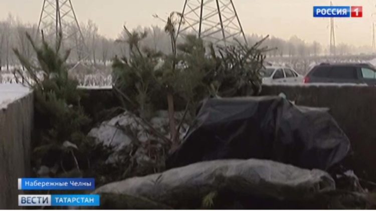 В Челнах вывозят на утилизацию елки и бутылки из-под алкогольных напитков