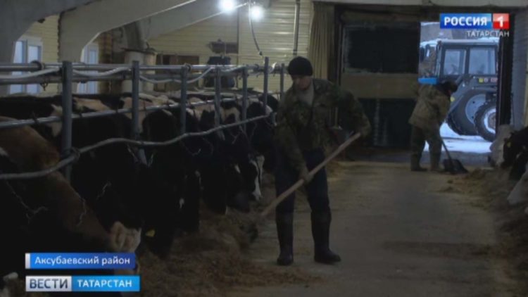 Аксубаевские аграрии строят роботизированные фермы благодаря президентской программе