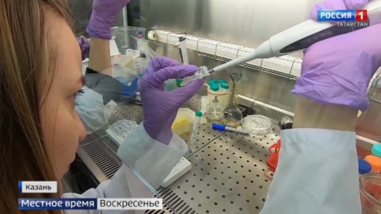 В минздраве РТ озвучили причины роста смертности в Татарстане