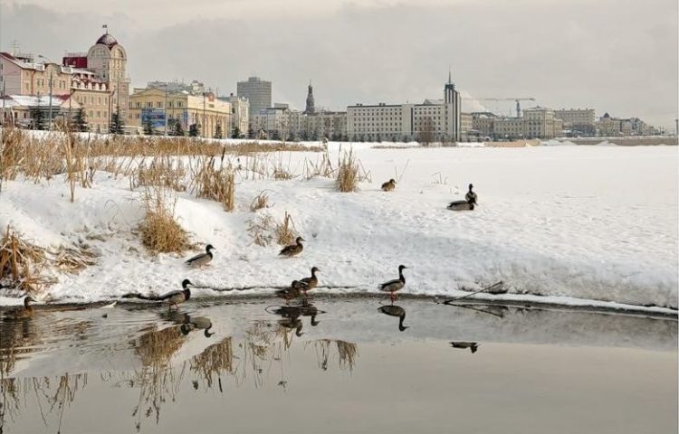 В Казани реконструируют фасад здания «Казанских электрических сетей» у озера Кабан