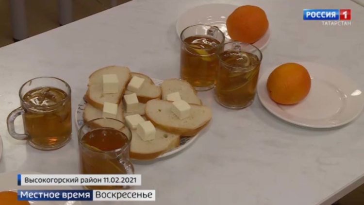 В КФУ открыли антитела для лечения рака