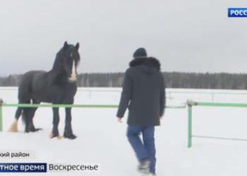 Истории молодых татарстанцев, переехавших в село для открытия своего дела