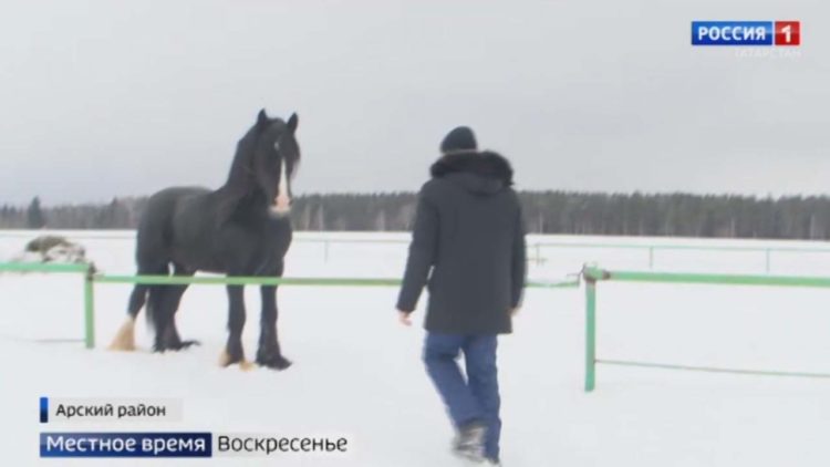Истории молодых татарстанцев, переехавших в село для открытия своего дела