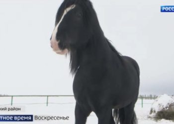 Антипрививочники пытались сорвать в Казани обсуждение мифов о прививках от коронавируса