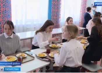 В Татарстане собираются ужесточить наказания для пешеходов-нарушителей