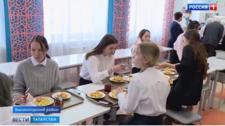 В Татарстане собираются ужесточить наказания для пешеходов-нарушителей