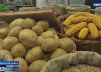 В Балтасинском районе открылся новый цех по фасовке сливочного масла