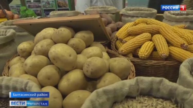 В Балтасинском районе открылся новый цех по фасовке сливочного масла