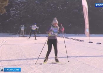 Буинские пчеловоды обсудили способы защиты от массовой гибели пчел