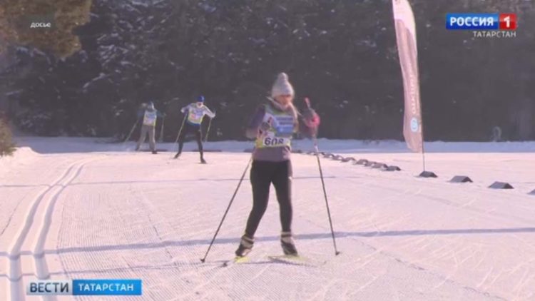 Буинские пчеловоды обсудили способы защиты от массовой гибели пчел