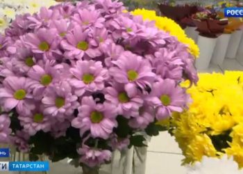 Рустам Минниханов жестко отчитал глав районов за коррупцию на их территориях