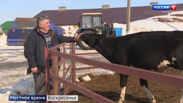 Фермеры Татарстана отметили 30-летие своего движения