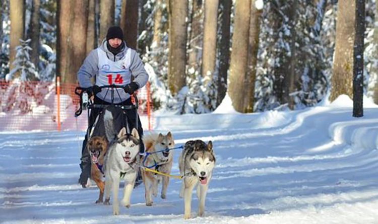 «Два золота» завоевал житель Зеленодольска на гонках на собачьих упряжках