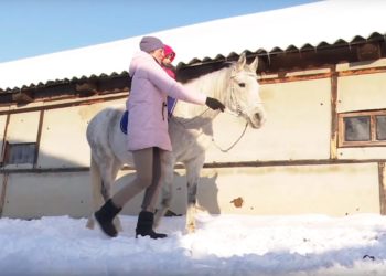 В Зеленодольске возобновились занятия по иппотерапии