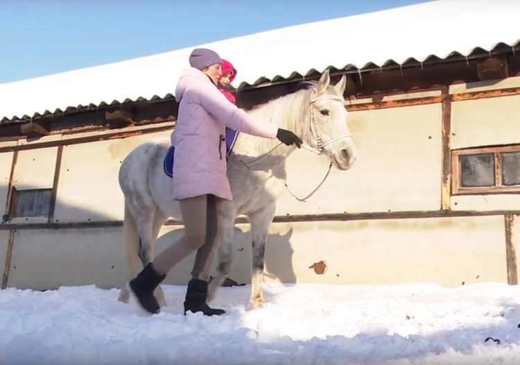 В Зеленодольске возобновились занятия по иппотерапии