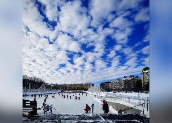 15 марта в парке «Черное озеро» начнутся демонтажные работы