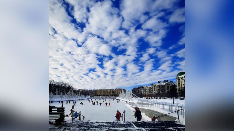 15 марта в парке «Черное озеро» начнутся демонтажные работы