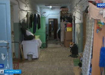 В Казани стая собак едва не растерзала ребенка