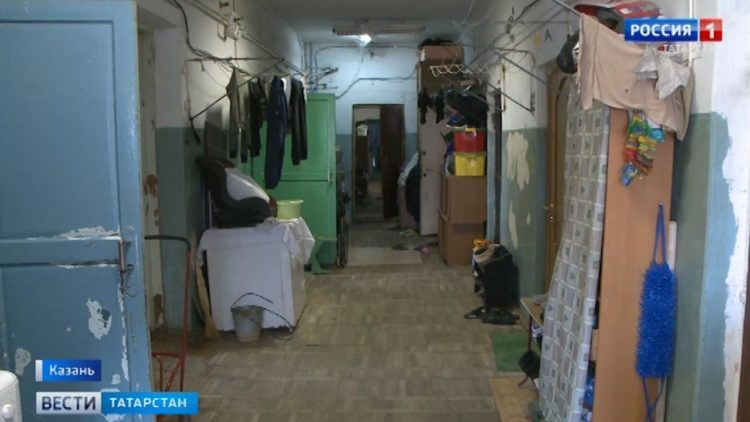 В Казани стая собак едва не растерзала ребенка