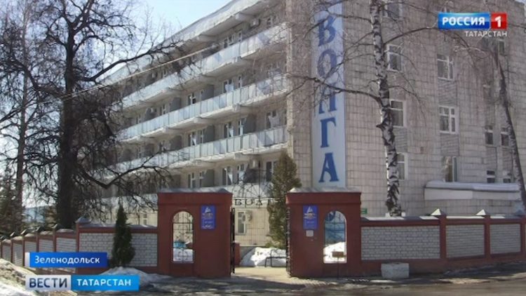 В Казани стая собак едва не растерзала ребенка