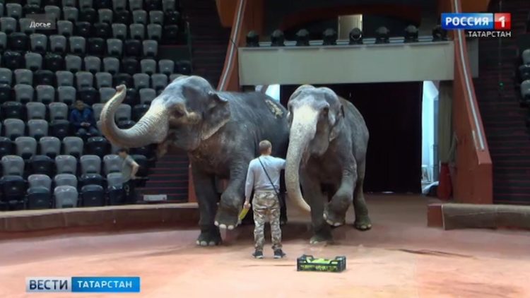 Жители Татарстана жалуются на затопленные улицы и дворы