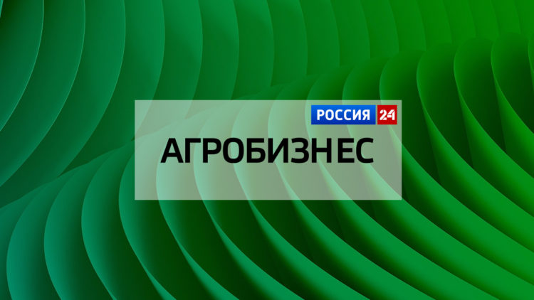 Россия 24. Интервью с Алсу Набиевой