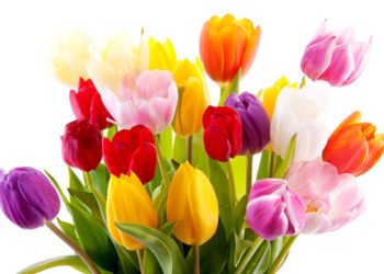 Между Волгой и Уралом (07.03.21)