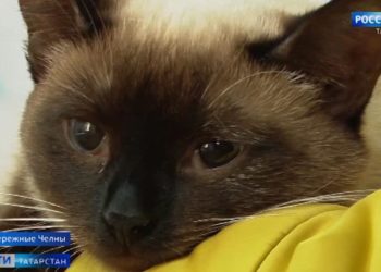 В Казани экологи выявили более сотни нарушений