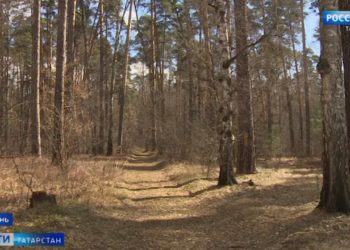 Ак Барс, спасибо за сезон!