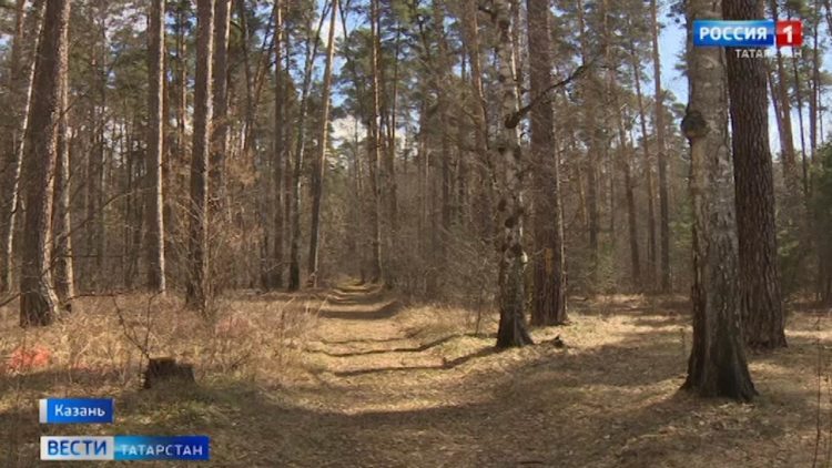 Ак Барс, спасибо за сезон!