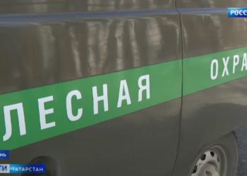 В Казани экологи выявили более сотни нарушений