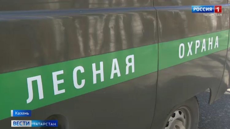 В Казани экологи выявили более сотни нарушений