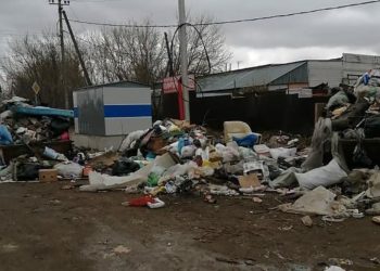 Жители Салмачей пожаловались на огромные свалки