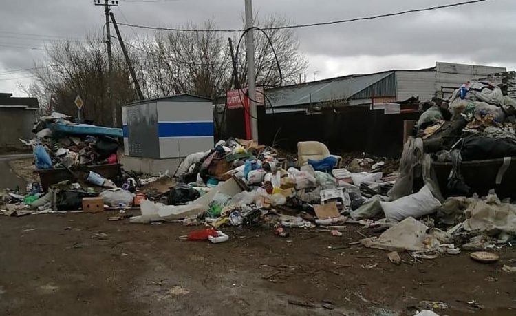 Жители Салмачей пожаловались на огромные свалки