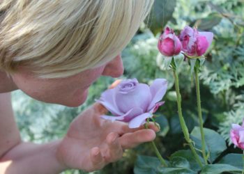 Медики рассказали, как восстановить вкус и запах после коронавируса