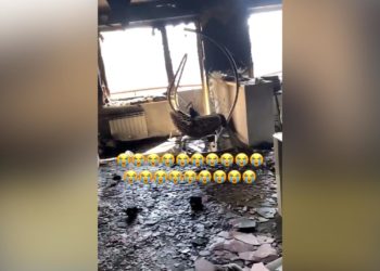 После пожара в Челнах женщина опубликовала страшное видео сгоревшей квартиры