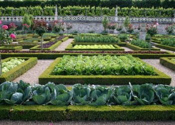 Экологические принципы жизни (20.04.21)