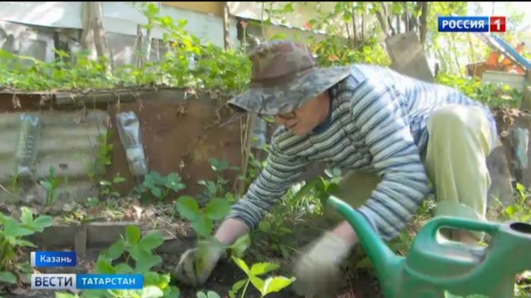 Татарстанские садоводы опасаются за урожай из-за аномальной жары