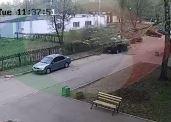 В Нижнекамске из-за сильного ветра дерево упало на машину