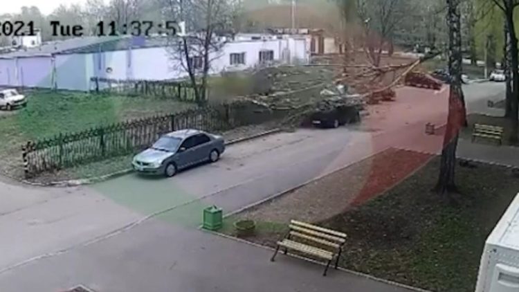 В Нижнекамске из-за сильного ветра дерево упало на машину