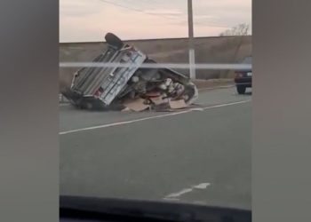 Под Челнами перевернулся прицеп с цыплятами