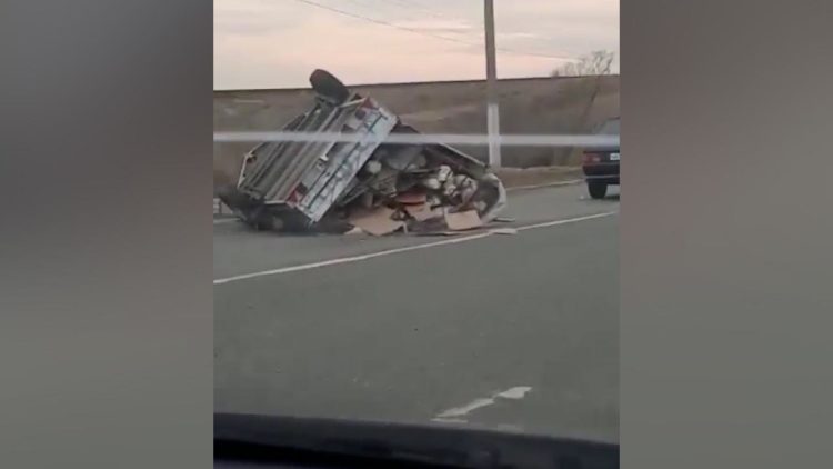 Под Челнами перевернулся прицеп с цыплятами