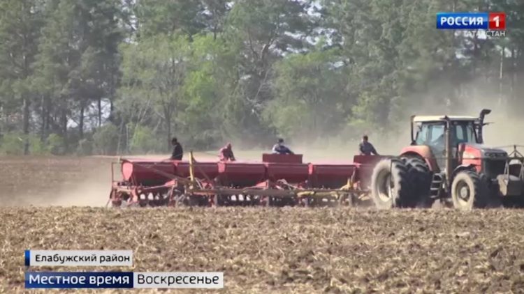 Майская жара угрожает посевам в Татарстане