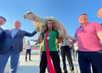 Абсолютным батыром челнинского Сабантуя стал Эльдар Хамитов