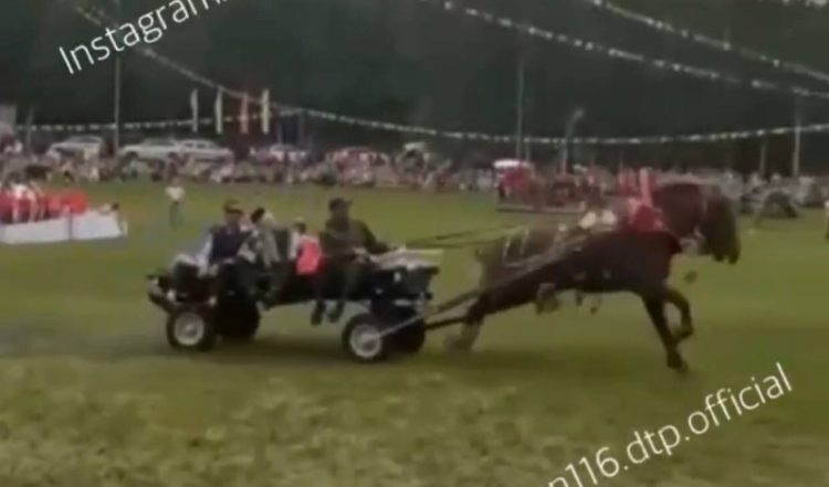 В Татарстане на Сабантуе запряженная лошадь влетела в толпу