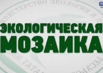 Экологическая мозаика (11.06.21)